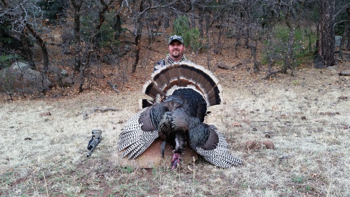 Merriam Turkey